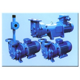 2BV 2BV-P1系列水环式真空泵及压缩机