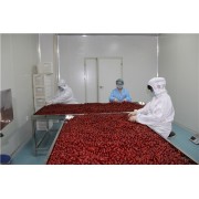 红枣生产线
