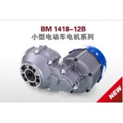 BM  1418-12B48V/500W/750W