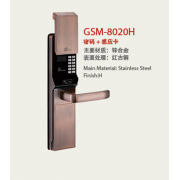GSM-8020H