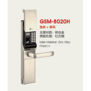 GSM-8020H