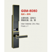 GSM-8080