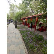 新疆植物园蒙古包